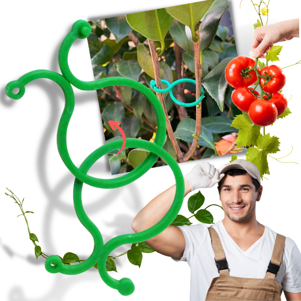 Pack of Garden Plant Holder Clips