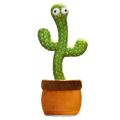 Talking Cactus Parrot