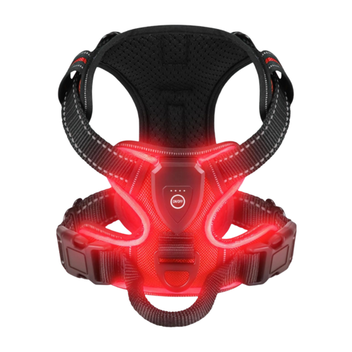 Blink LED Light Dog Harness