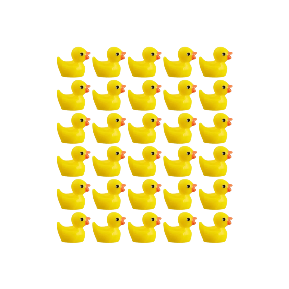 Cute Duck Challenge Toy