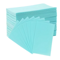 Eco Clean Toilet Sheets