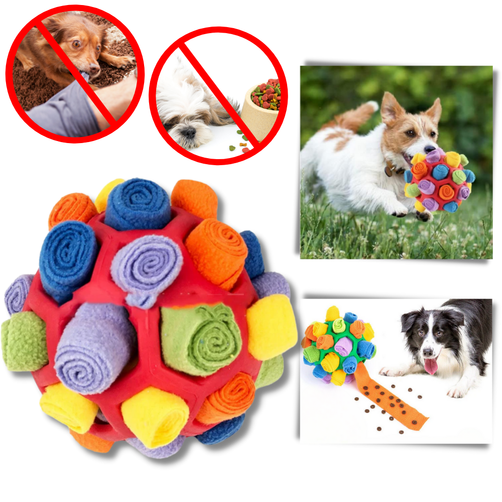 Mental Stimulator Snuffle Ball