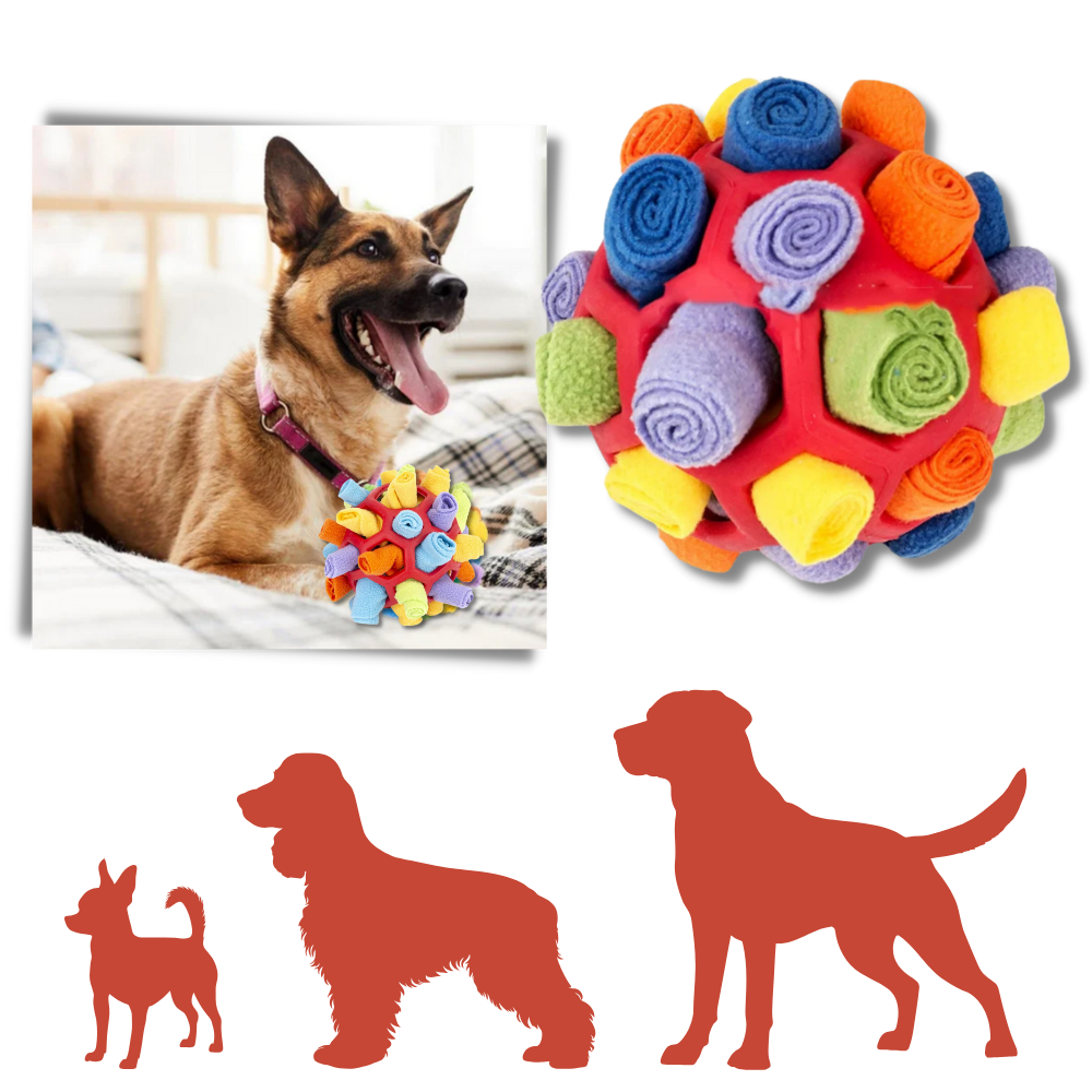 Mental Stimulator Snuffle Ball