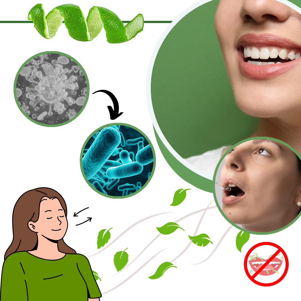 Pure Mint Mouth Freshener