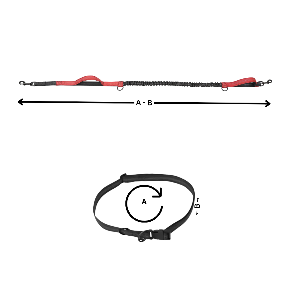 Secure & Ergonomic Dog Waist Leash