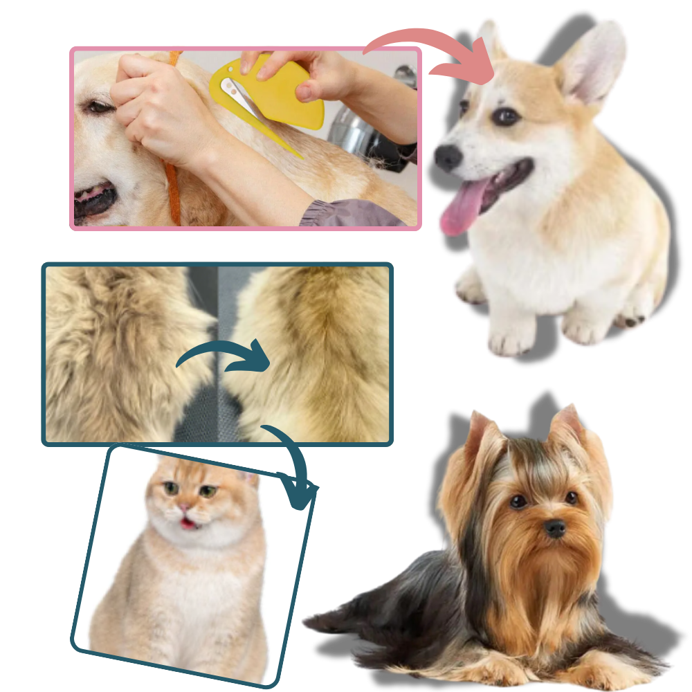 Versatile Pet Knotting Detangler