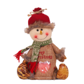 Zip Close Reusable Christmas Gift Bag